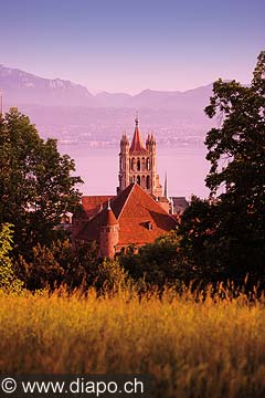 8603 - Photo: Suisse, Lausanne et la Cathédrale