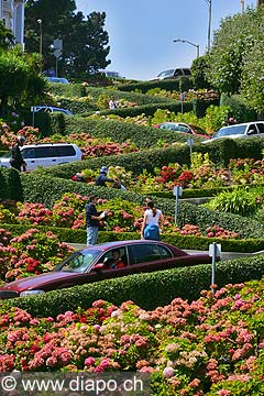 8710 - Photo : USA, Etats-Unis, Californie, San Francisco, Image of America - Lombard Street