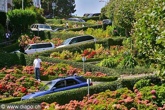 8711 - Photo : USA, Etats-Unis, Californie, San Francisco, Image of America - Lombard Street