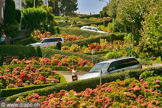 8712 - Photo : USA, Etats-Unis, Californie, San Francisco, Image of America - Lombard Street