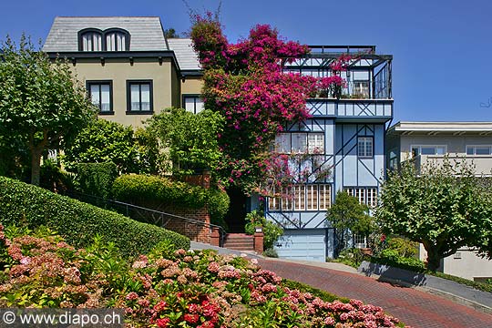 8713 - Photo : USA, Etats-Unis, Californie, San Francisco, Image of America - Lombard Street