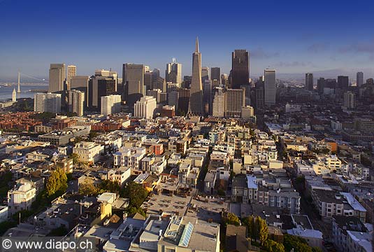 8773 - Photo : USA, Etats-Unis, Californie, San Francisco, Image of America - Transamerica Pyramid