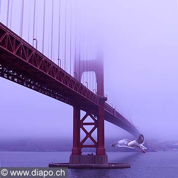 8805 - Photo : USA, Etats-Unis, Californie, San Francisco, Image of America - Golden Gate Bridge