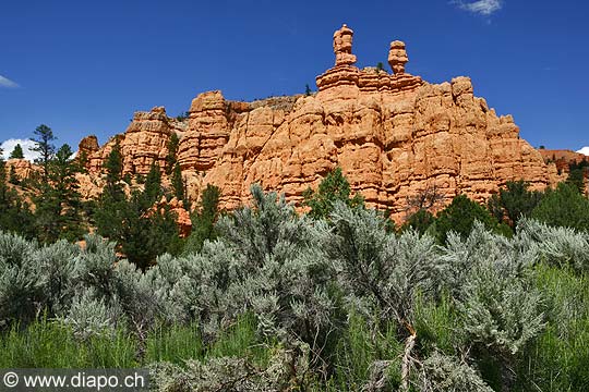 9030 - Photo : Amrique, USA, Etats-Unis, Zion National park,  Image of America