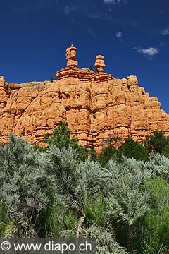 9031 - Photo : Amrique, USA, Etats-Unis, Zion National park,  Image of America