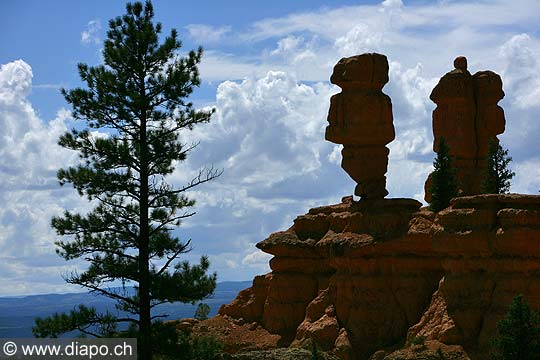 9033 - Photo : Amrique, USA, Etats-Unis, Zion National park,  Image of America