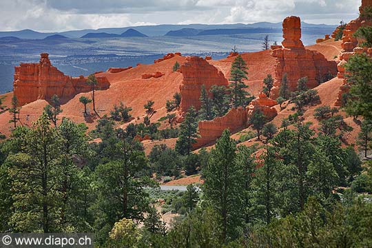 9035 - Photo : Amrique, USA, Etats-Unis, Zion National park,  Image of America