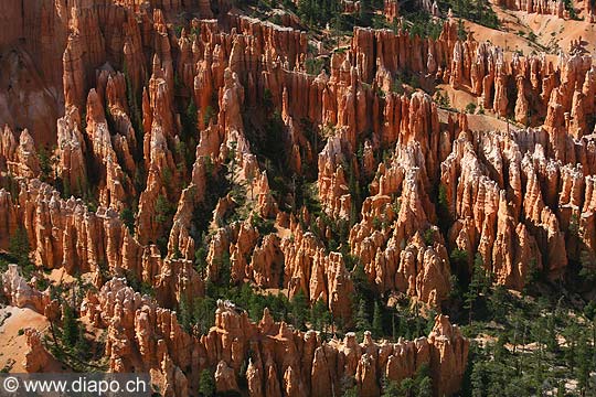 9039 - Photo : Amrique, USA, Etats-Unis, Bryce Canyon,  Image of America