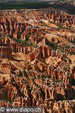 9040 - Photo : Amrique, USA, Etats-Unis, Bryce Canyon,  Image of America