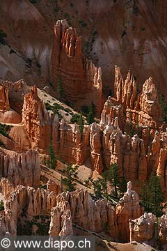 9042 - Photo : Amrique, USA, Etats-Unis, Bryce Canyon,  Image of America