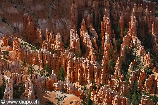 9043 - Photo : Amrique, USA, Etats-Unis, Bryce Canyon,  Image of America