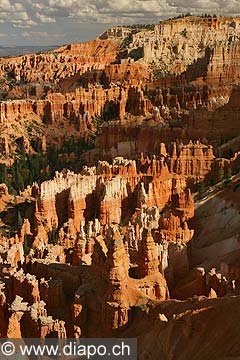 9045 - Photo : Amrique, USA, Etats-Unis, Bryce Canyon,  Image of America