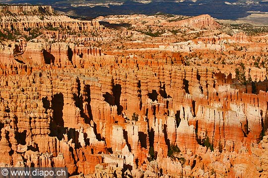 9049 - Photo : Amrique, USA, Etats-Unis, Bryce Canyon,  Image of America