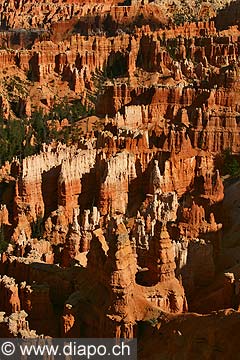 9051 - Photo : Amrique, USA, Etats-Unis, Bryce Canyon,  Image of America