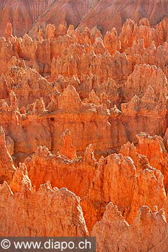 9060 - Photo : Amrique, USA, Etats-Unis, Bryce Canyon,  Image of America