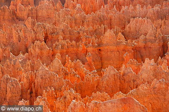 9061 - Photo : Amrique, USA, Etats-Unis, Bryce Canyon,  Image of America