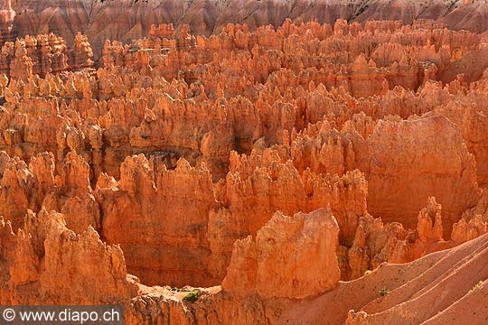 9062 - Photo : Amrique, USA, Etats-Unis, Bryce Canyon,  Image of America