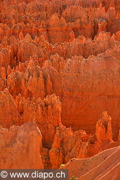 9063 - Photo : Amrique, USA, Etats-Unis, Bryce Canyon,  Image of America