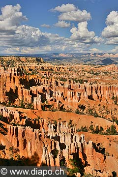 9064 - Photo : Amrique, USA, Etats-Unis, Bryce Canyon,  Image of America