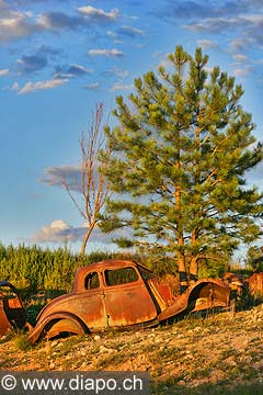 9066 - Photo : Amrique, USA, Etats-Unis,  Image of America - vieille voiture rouille