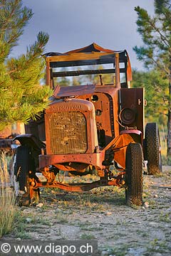 9069 - Photo : Amrique, USA, Etats-Unis,  Image of America - vieille voiture rouille