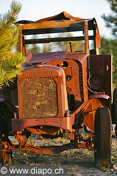 9070 - Photo : Amrique, USA, Etats-Unis,  Image of America - vieille voiture rouille