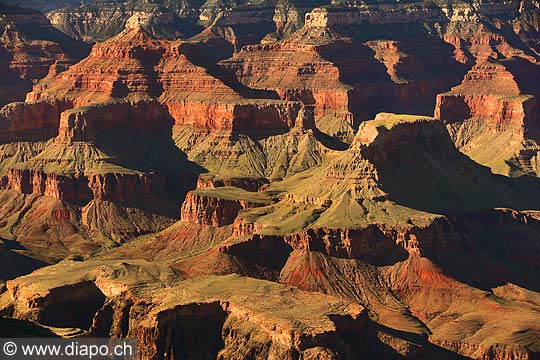 9101 - Photo : Amrique, USA, Etats-Unis - Grand Canyon national Park,  Image of America