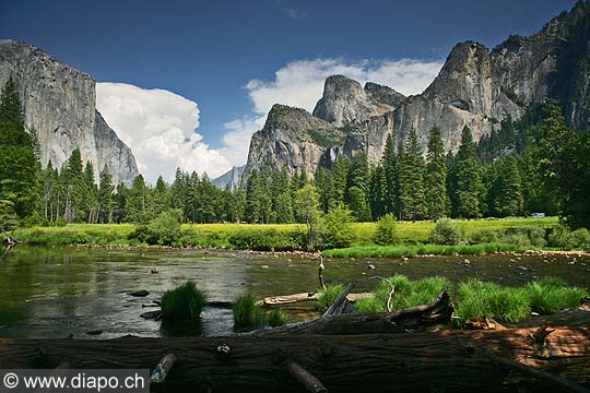 9108 - Photo : Amrique, USA, Etats-Unis,  Image of America - Yosemite National Park - Californie