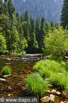 9109 - Photo : Amrique, USA, Etats-Unis,  Image of America - Yosemite National Park - Californie