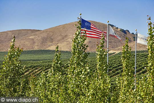 9142 - Photo : USA, Etats-Unis, vignoble vers Santa Maria - Californie