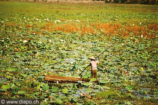 9220 - Photo : Asie - Cambodge, Cambodia - Asia