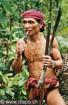 9250 - Photo : Asie - Siberute, Indonsie, Indonsia Homme-fleur, Mentawai - Asia