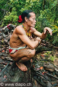 9251 - Photo : Asie - Siberute, Indonsie, Indonsia, Homme-fleur, Mentawai - Asia