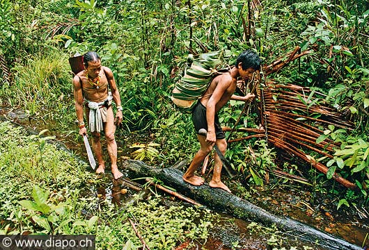 9252 - Photo : Asie - Siberute, Indonsie, Indonsia, Homme-fleur, Mentawai - Asia