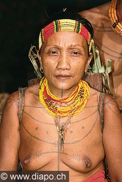 9253 - Photo : Asie - Siberute, Indonsie, Indonsia, Homme-fleur, Mentawai - Asia