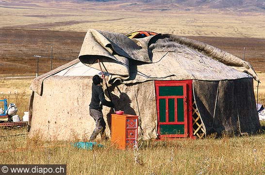 9285 - Photo : Asie - Mongolie, Mongolia - Asia - Montage d'une yourte