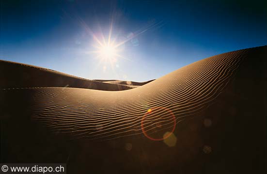 9300 - Photo : Asie - Mongolie, Mongolia - Asia - Dunes de Khongoryn Els, dsert de Gobi