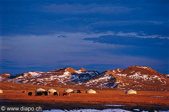 9308 - Photo : Asie - Mongolie, Mongolia - Asia - Village ouest de la Mongolie