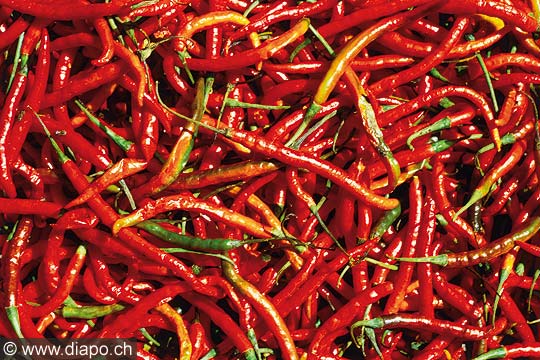 9319 - Photo : Asie - Sumatra, Indonsie, Indonsia - Asia, piments