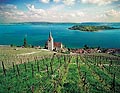 141 - Ligerz et le lac de Bienne.