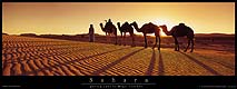 691 - Poster du Sahara