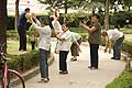 10242 - Photo :  Shanghai, tai chi,  Chine, China