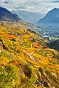 10365 - Photo: Suisse, vignoble du Valais, Sion, switzerland, swiss wines - wein, schweiz