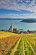 10451 - Photo : le vignoble de Ligerz avec son glise dans le canton de Berne et le lac bienne avec l'le de Saint-Pierre