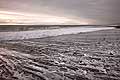 10942 - Photo : Islande, terre de glace - plage de Skogafjara