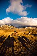 10954 - Photo : Islande, terre de glace