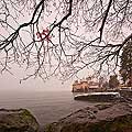 11401 - Photo :  Suisse - Chteau de Chillon au bord du Lac Lman