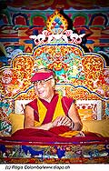 12733 - Photo: Tenzin Gyatso, le dala-lama, le plus haut chef spirituel du Tibet  Lausanne en Suisse