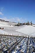 5209 - Suisse, Vaud, La Cte, Village de Fchy sous la neige