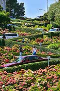 8710 - Photo : USA, Etats-Unis, Californie, San Francisco, Image of America - Lombard Street